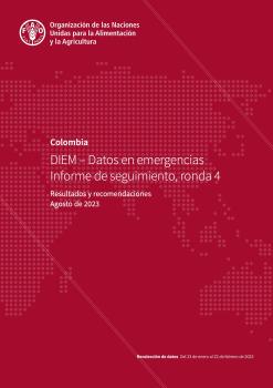 DIEM - DATOS EN EMERGENCIA INFORME DE SEGUIMIENTO (2023 - 4A RONDA)